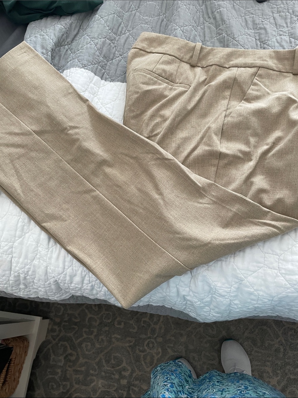Tailored Beige Dress Pants